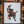 Ronin Fine Art Print